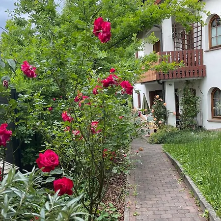 Apartment Rose & Oak *